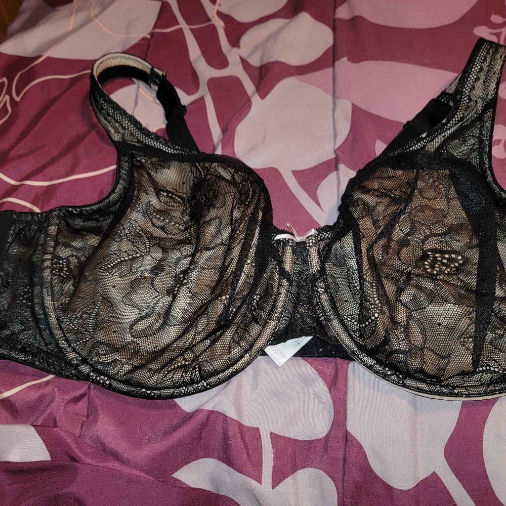 Lane Bryant bra